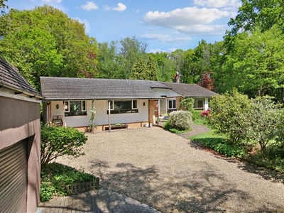 Detached bungalow for sale in Lake View, Dormans Park, East Grinstead RH19