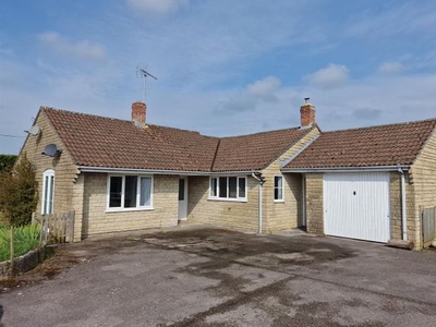 Detached bungalow to rent in Shaftesbury Road, Mere, Warminster BA12