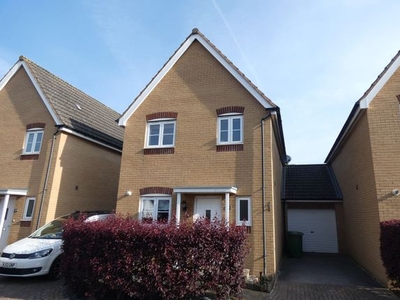 Detached house to rent in Resolution Road, Exeter EX2