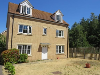 Property to rent in Evergreen Way, Mildenhall, Bury St Edmunds IP28