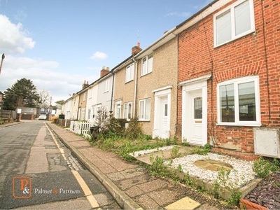 Terraced house to rent in Albert Street, Colchester, Essex CO1