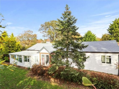 3 Bedroom Bungalow For Sale In Hailsham, East Sussex