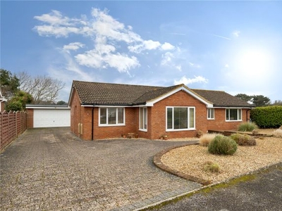 Bungalow for sale in The Bucklers, Milford On Sea, Lymington, Hampshire SO41