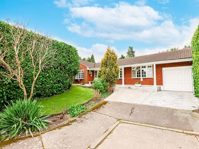 Detached bungalow for sale in Laburnum Grove, Hockley SS5