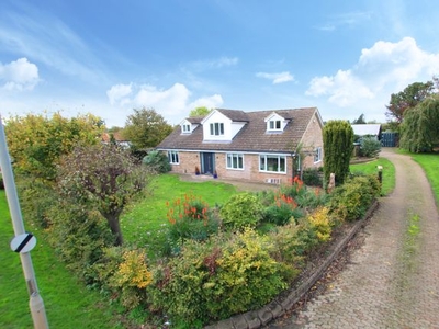 Equestrian property for sale in Bedford Road, Sandy SG19