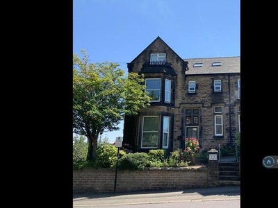 1 Bedroom Flat For Rent In Sheffield