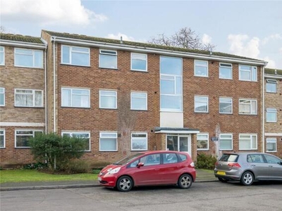 2 Bedroom Shared Living/roommate Guildford Surrey