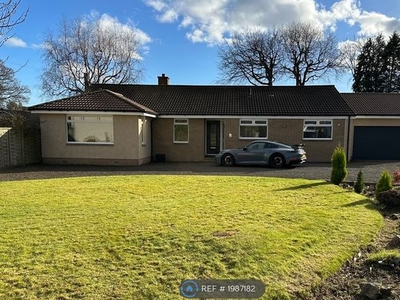 Bungalow to rent in Abbots Walk, Kirkcaldy KY2