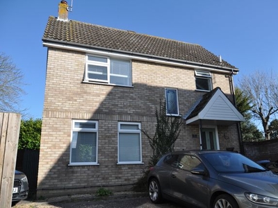 Detached house to rent in Bluebell Way, Colchester CO4