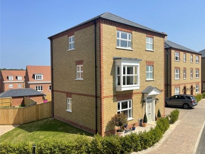 Detached house to rent in Lushington Drive, Barnet, Hertfordshire EN4