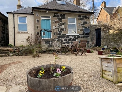 Detached house to rent in Upper Allan Street, Blairgowrie PH10
