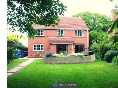 Detached house to rent in William Street, Loughborough LE11