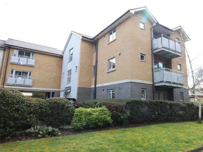 Flat to rent in Falcons Mead, Chelmsford CM2