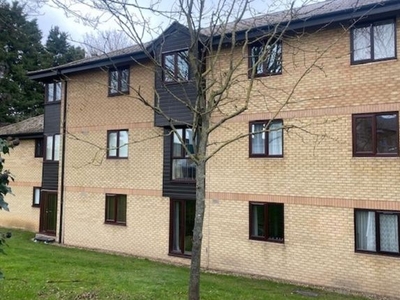 Flat to rent in Gresley Lodge, Old North Road, Royston SG8