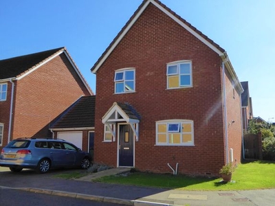 Link-detached house to rent in Tinkers Way, Downham Market PE38