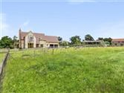 14.95 acres, Southwood, Glastonbury, BA6, Somerset
