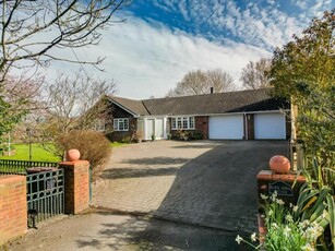 3 Bedroom Detached Bungalow For Sale In Shedfield