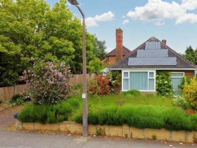4 Bedroom Bungalow For Sale In Bramcote