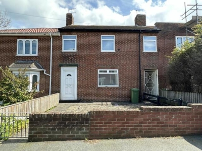 4 Bedroom Terraced House For Rent In South Shields, Tyne And Wear