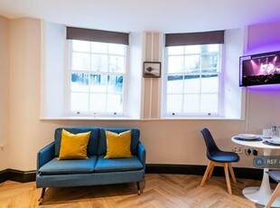 Studio Flat For Rent In Brighton
