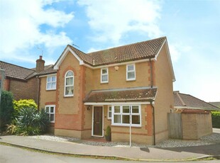 4 bedroom detached house for rent in Pavitt Meadow, Galleywood, Chelmsford, Essex, CM2