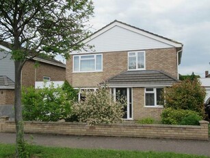 4 Bedroom Property For Rent In Bedford