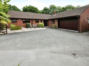 Bungalow for sale in Chilling Lane, Hook Village, Hampshire SO31