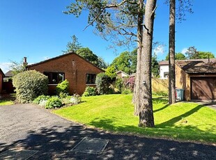 Bungalow for sale in Pinewood Walk, Strathaven ML10