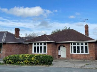 Bungalow to rent in Turner Road, Colchester CO4