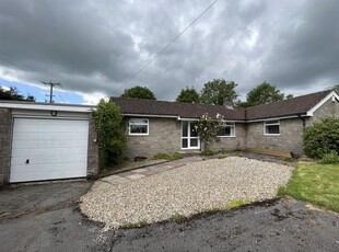 Detached bungalow to rent in Ammerham, Winsham, Chard TA20
