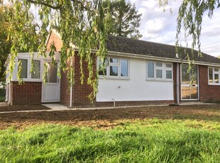 Detached bungalow to rent in Robin Hood End, Finchingfield CO9