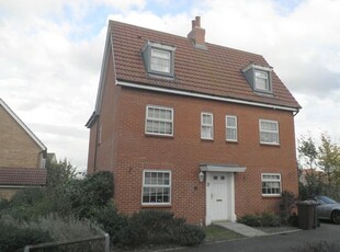 Detached house to rent in Chaffinch Road, Bury St. Edmunds IP32