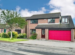 Detached house to rent in The Vale, Stockton-On-Tees TS19