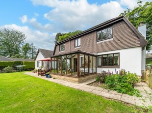 Detached house for sale in Shepherds Hill, Alnmouth, Alnwick NE66