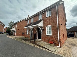 Semi-detached house to rent in Attelsey Way, Norwich NR5