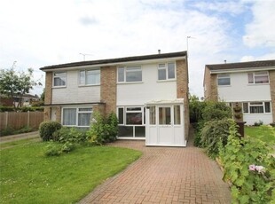Semi-detached house to rent in Guildford Road, Colchester CO1
