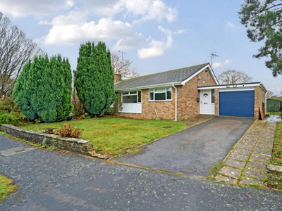 3 Bedroom Bungalow For Sale In Whitehill, Hampshire