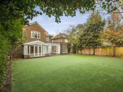 5 Bedroom Detached House For Rent In St John's Wood