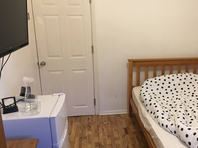 Bright double room in 5-bedroom flat in Putney, London