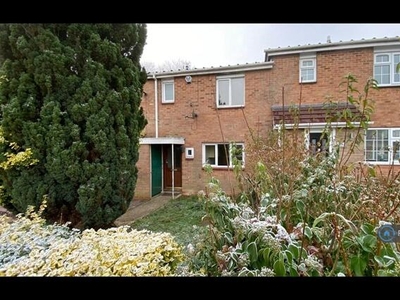 3 Bedroom Terraced House For Rent In Basingstoke