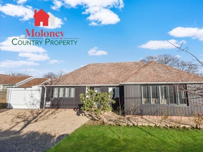 Detached bungalow for sale in Dixter Road, Northiam, Rye TN31