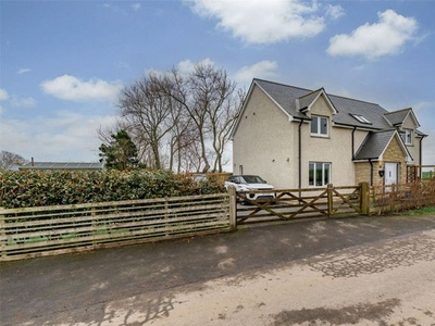 Detached house for sale in Swallowdene, Horndean, Berwick-Upon-Tweed, Scottish Borders TD15