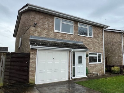 Detached house to rent in Bennett Road, Red Lodge, Bury St. Edmunds IP28