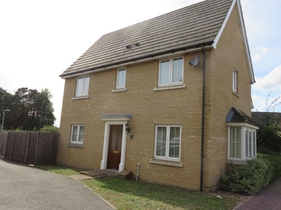 Property to rent in Hollyhock Court, Red Lodge, Bury St. Edmunds IP28