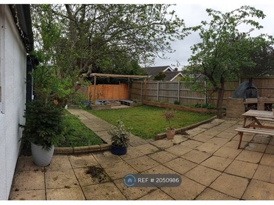 Bungalow to rent in Abbot Road, Bury St. Edmunds IP33