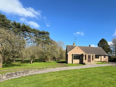 Detached bungalow for sale in Dowlish Wake, Ilminster TA19