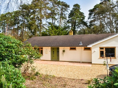 Detached bungalow for sale in St Ives Wood, Ringwood BH24