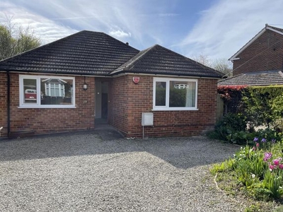 Detached bungalow to rent in 19 Jubilee Road, Littlebourne, Canterbury, Kent CT3