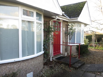 Detached bungalow to rent in Elmhurst Lane, Street BA16
