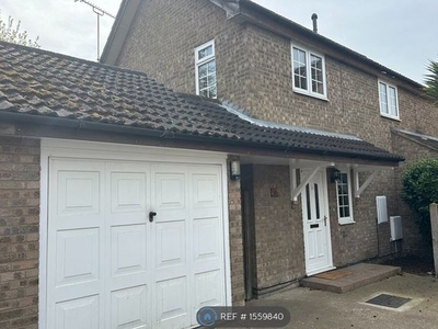 Detached house to rent in Brick Kiln Close, Felixstowe IP11